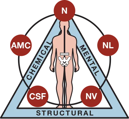 The Triad of Health: a triangle with sides labelled Structural, Chemical and Mental, a human figure at the centre, and the five factors — N, AMC, NL, CSF and NV — arranged around it.